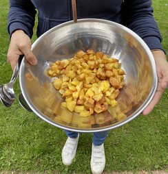 Foto von den selbstgemachten Kartoffelpommes