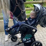 Foto vom Pferd Wanita, welches sich nah zu einem Kind im Kinderwagen beugt (vergrößerte Bildansicht wird geöffnet)