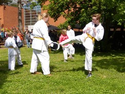 Foto von Schülern bei Karateübungen