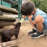 Foto von einem Kind beim Kaninchen-Füttern (vergrößerte Bildansicht wird geöffnet)