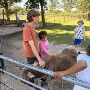 Foto von Kindern beim Esel streicheln (vergrößerte Bildansicht wird geöffnet)