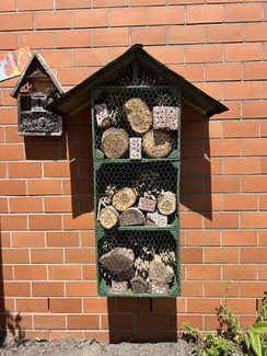 Foto von dem neuen Insektenhotel an der Schulwand