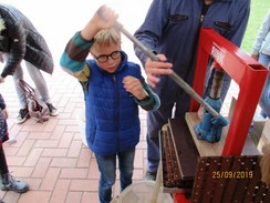 Foto: Ein Schüler presst den Saft der Birnen aus