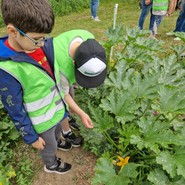 Foto: zwei Schüler bei den Zuccinipflanzen (vergrößerte Bildansicht wird geöffnet)