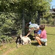 Foto von Kindern beim Ziege-Streicheln (vergrößerte Bildansicht wird geöffnet)