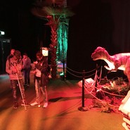 Foto von Schülern mit ihren Audioguides am Ende der Ausstellung (vergrößerte Bildansicht wird geöffnet)