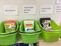 Foto von verschiedenen Bilderbüchern in Kisten nach Kategorien (vergrößerte Bildansicht wird geöffnet)