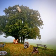 Ein Bild ist auf einem iPad abgebildet. Auf dem Bild ist folgendes: Auf einer Wiese steht ein großer Baum. Verschiedene Tiere sind auf dem Bild verteilt (Fuchs, Eule, Igel, Waschbär, Eichhörnchen, Damwild) (vergrößerte Bildansicht wird geöffnet)