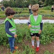 Foto: zwei Schüler mit frisch gezogenen Möhren (vergrößerte Bildansicht wird geöffnet)