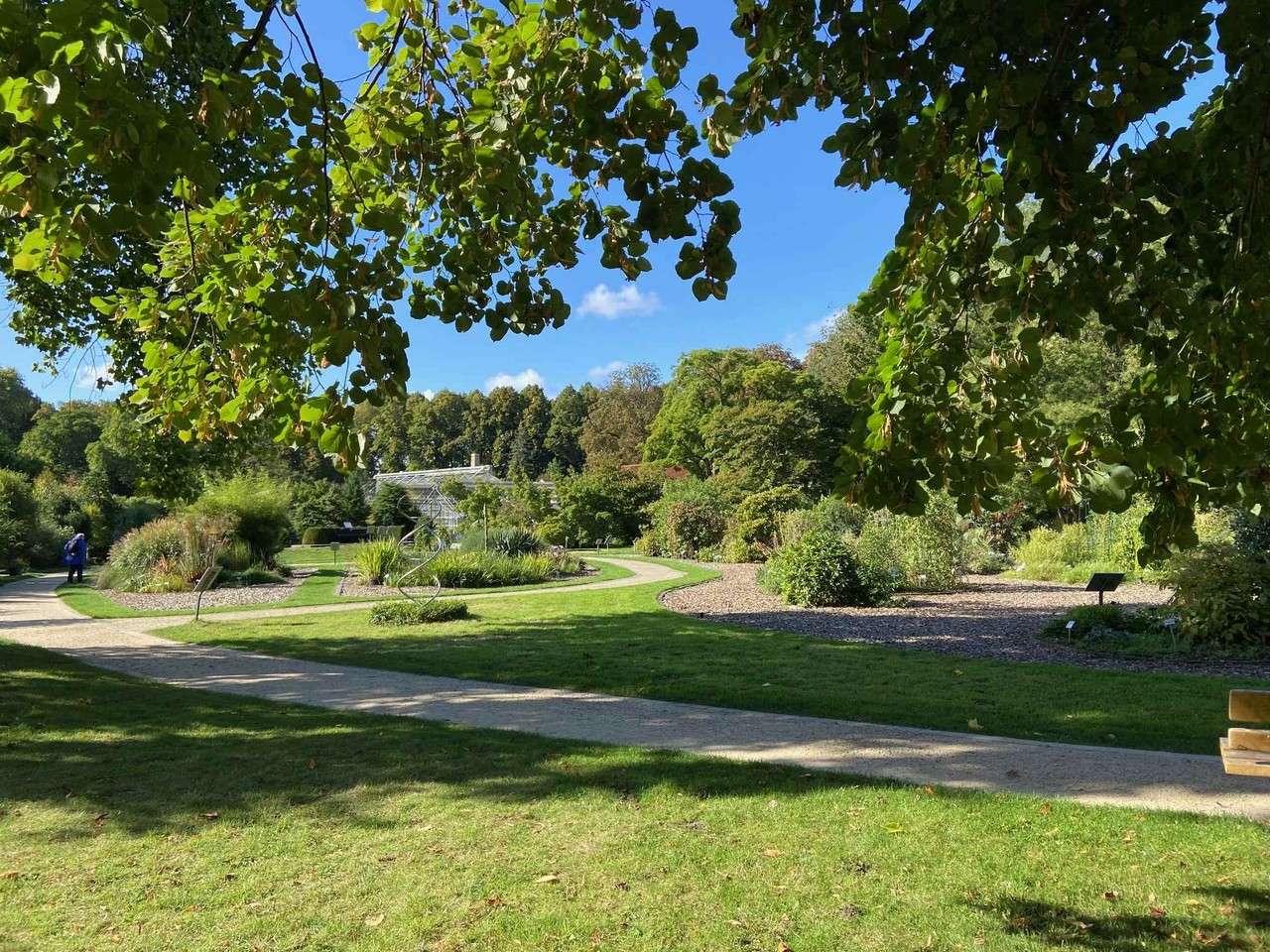 Foto des Panoramas des Botanischen Gartens mit Wiesenfläche durchschnitten von Gehwegen und Kiesbeeten. In der Ferne sind hohe Bäume zu erkennen.