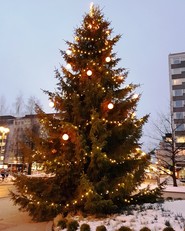 Foto eines Weihnachtsbaums vor dem Rathaus in Oulu (vergrößerte Bildansicht wird geöffnet)