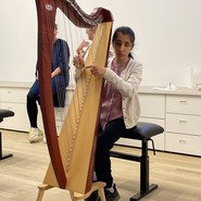 Ansam spielt Lieder auf der Harfe (vergrößerte Bildansicht wird geöffnet)